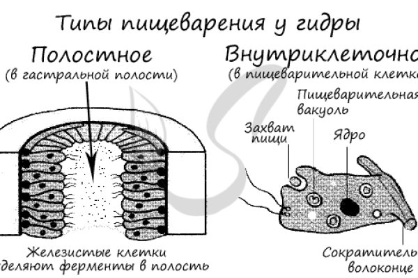 Kraken 17at сайт