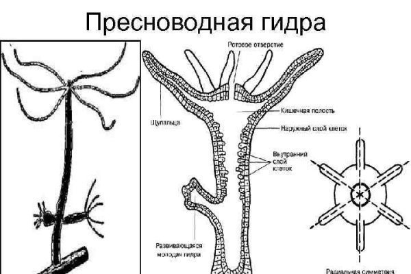 Кракен вход на сайт