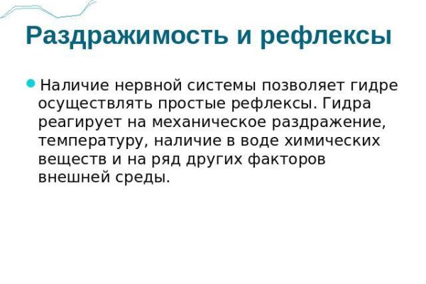 Kraken настоящая ссылка