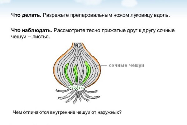 Ссылка на кракен