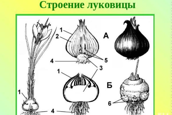 Кракен маркетплейс купить порошок