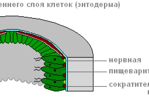 Кракен маркет даркнет только через тор