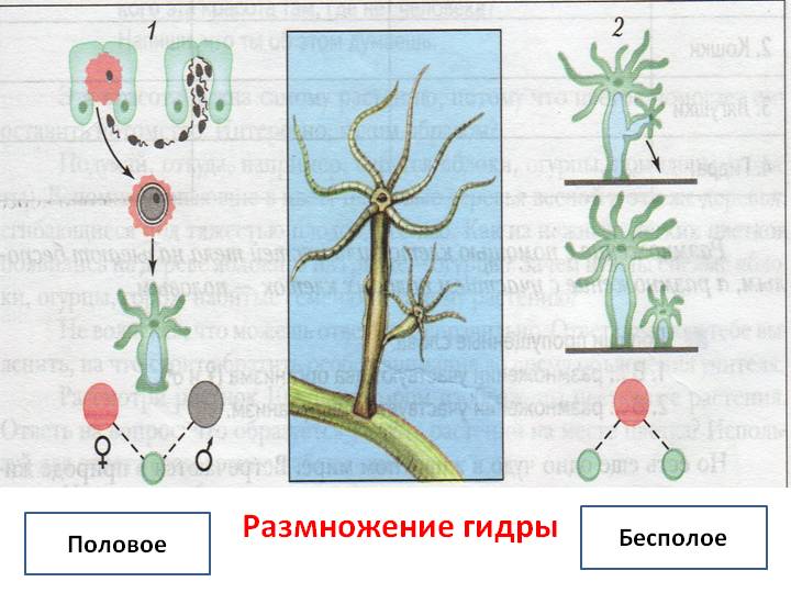 Кракен зеркало впн