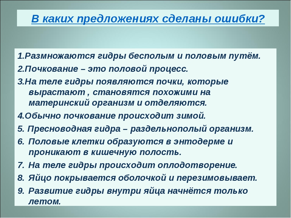 Как восстановить аккаунт на кракене